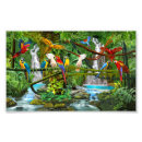 Recherche de peinture de perroquet posters Perroquets