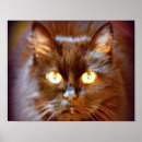 Suche nach pussycat poster Liebe
