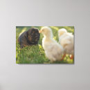 Suche nach kleiner vogel leinwandbilder Tier