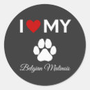 Suche nach belgische malinois aufkleber Belgianisch