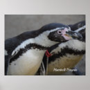 Suche nach penguin poster Tiere