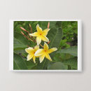 Recherche de plumeria badges Fleurs