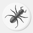 Suche nach ameise magnete Tier