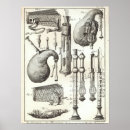 Suche nach dudelsack poster Musik