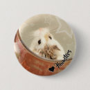 Suche nach niedlicher hamster buttons Wütend