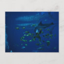 Suche nach aquarium poster Water