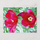 Recherche de dragon cartes postales Fleur