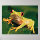 Suche nach kamera poster Blätter