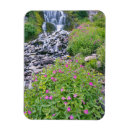 Recherche de grand format magnets Environnement