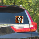 Recherche de cavalier king charles autocollants Blenheim