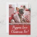 Recherche de de chiot noël cartes Rouge