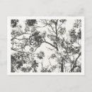 Recherche de silhouette blanche cartes postales Fleurs