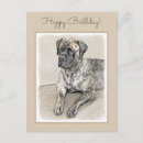 Suche nach doggen postkarten Mastiff