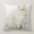 Recherche de persans coussins Animal