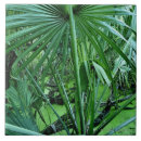 Suche nach pflanzen fliesen Nahaufnahme