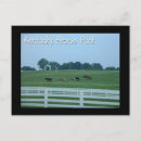 Recherche de équestres cartes postales Animaux