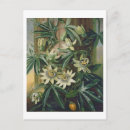 Recherche de 1833 cartes postales De