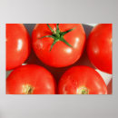 Suche nach tomato poster Fotografie