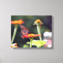 Suche nach monarch leinwandbilder Natur