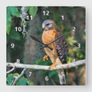 Suche nach raubvogel wanduhren Tiere