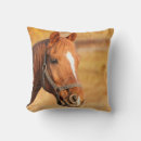 Recherche de de cheval coussins Été