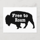 Recherche de libre cartes postales Américain