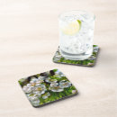 Recherche de verger bar Fleurs