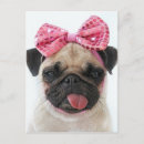 Suche nach rosa zunge poster Welpe