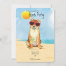 Recherche de shiba invitations Pour tous