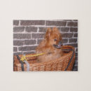 Recherche de pomeranian puzzles Chien