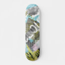 Recherche de couleurs comp skateboards Patinage