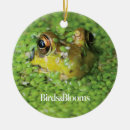 Suche nach frosch ornamente Tier