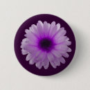 Suche nach kontrast buttons Lila