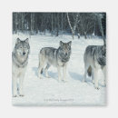 Suche nach schneebedeckter wald magnete Natur