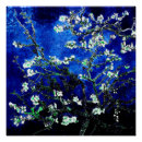 Suche nach almond poster Mandelblüten