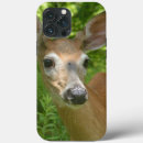 Recherche de coupé la queue iphone coques Photographie