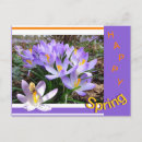 Recherche de abeille joyeuse cartes postales Toute personne