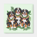 Suche nach berner sennenhund andere magnete Hundeliebhaber