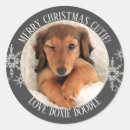 Suche nach welpen party aufkleber Dogs