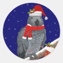 Suche nach afrikanischer vogel aufkleber Niedlich