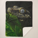 Suche nach gecko decken Niedlich