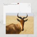 Suche nach mara postkarten Kenia