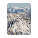 Recherche de notre arbre magnets Photographie