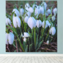 Suche nach weiße blumen leinwandbilder Frühling