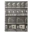 Recherche de seau photographie Muybridge