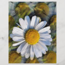 Recherche de marguerite prospectus Nature