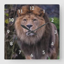 Suche nach löwe der löwe wanduhren Tier