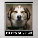 Suche nach funny meme poster Motivierend