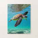 Recherche de tortues puzzles Tortue de mer