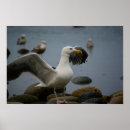 Suche nach stör poster Wasser